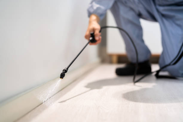 Licensed Termite Control service in Oldham County County, TX - Nex Pest Control