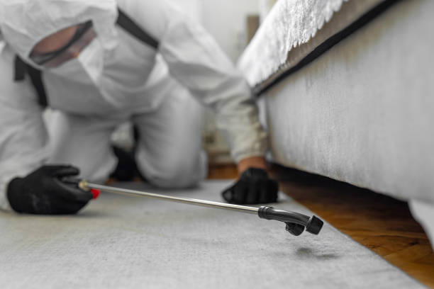 Professional Termite Control technician working in Oldham County County, TX